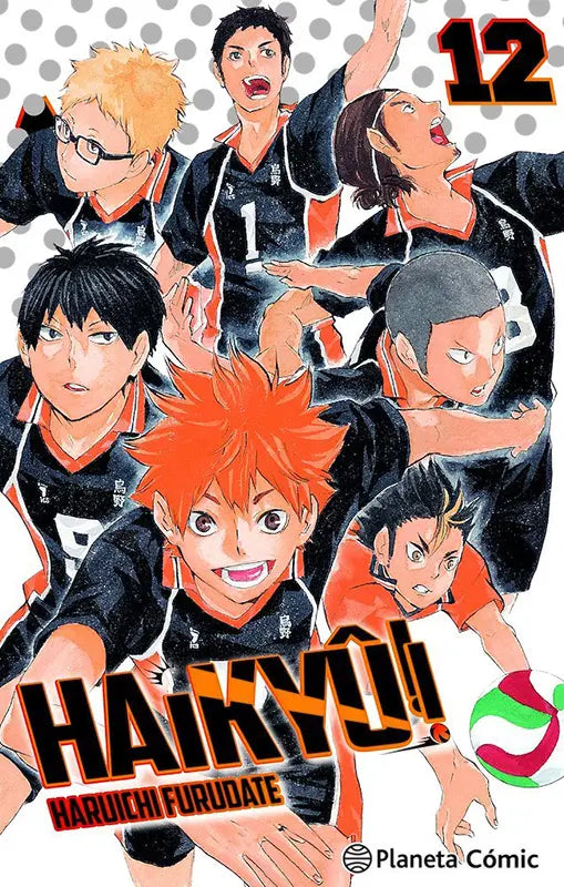 Haikyû!! 12