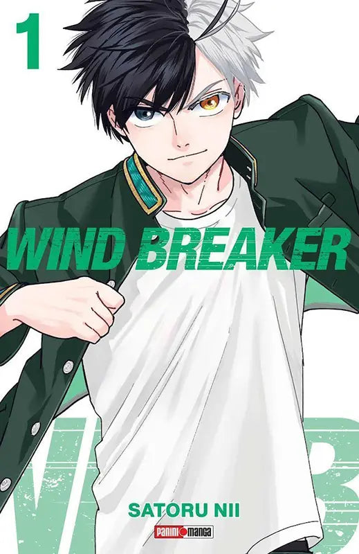 Wind Breaker 01