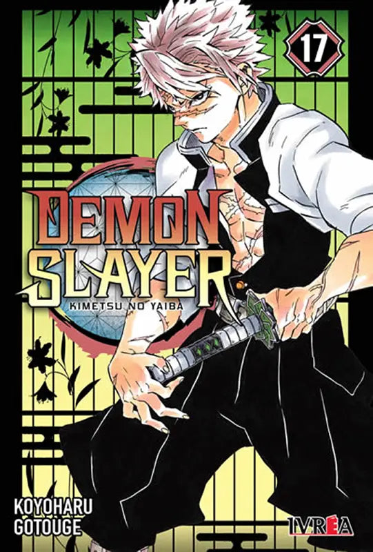 Demon Slayer: Kimetsu no Yaiba 17