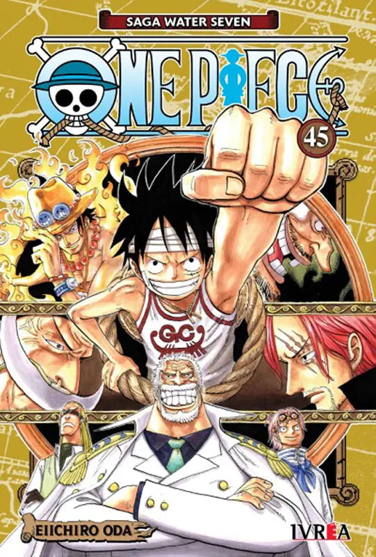 manga one piece 45